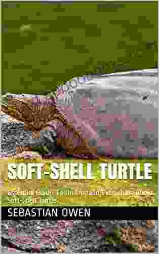 SOFT SHELL TURTLE: Essential Guide To Understand Everything About Soft Shell Turtle