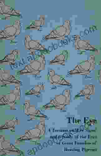 The Eye A Treatise On Eye Signs And A Study Of The Eyes Of Great Families Of Homing Pigeons