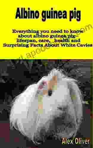 ALBINO GUINEA PIGS: Everything you need to know about albino guinea pig lifespan care health and Surprising Facts about White Cavies