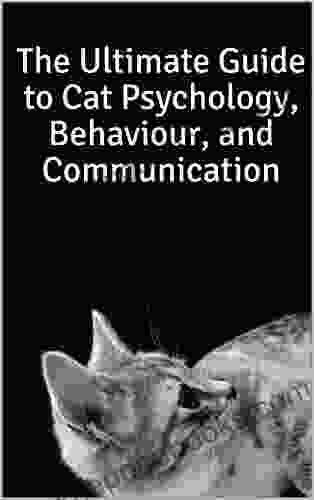 The Ultimate Guide To Cat Psychology Behaviour And Communication