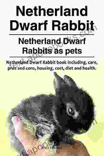 Netherland Dwarf Rabbits Pets Netherland Dwarf Rabbit For Diet Health Costs Care Housing Pros And Cons Netherland Dwarf Rabbit Owners Manual