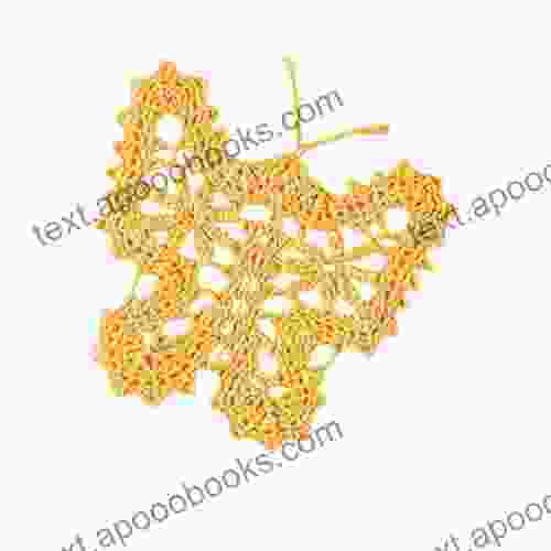 Crochet Butterfly Pattern Crochet Coaster Crochet Doily Pattern Crochet Applique Pdf Crochet Pattern