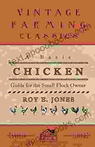 A Basic Chicken Guide For The Small Flock Owner