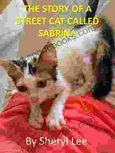 The Story Of A Street Cat Called Sabrina