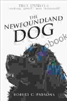 The Newfoundland Dog: True Stories of Courage Loyalty and Friendship